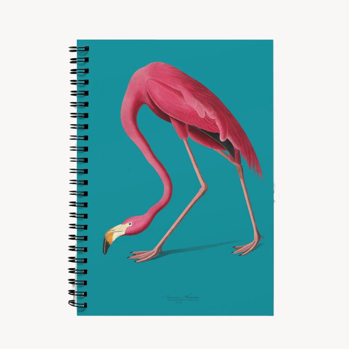Flamingos Are Forever Notebook Grace & Ashes