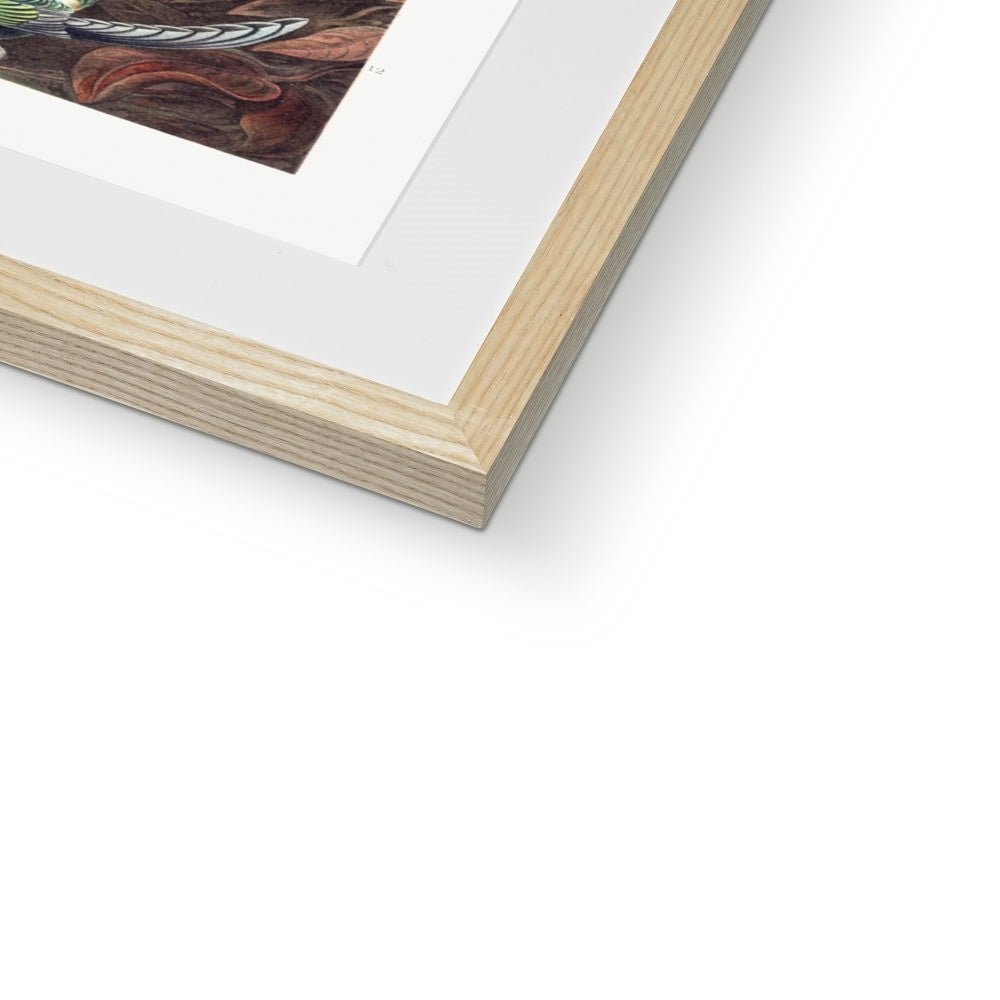 Hummingbirds Framed & Mounted Print - Grace & Ashes