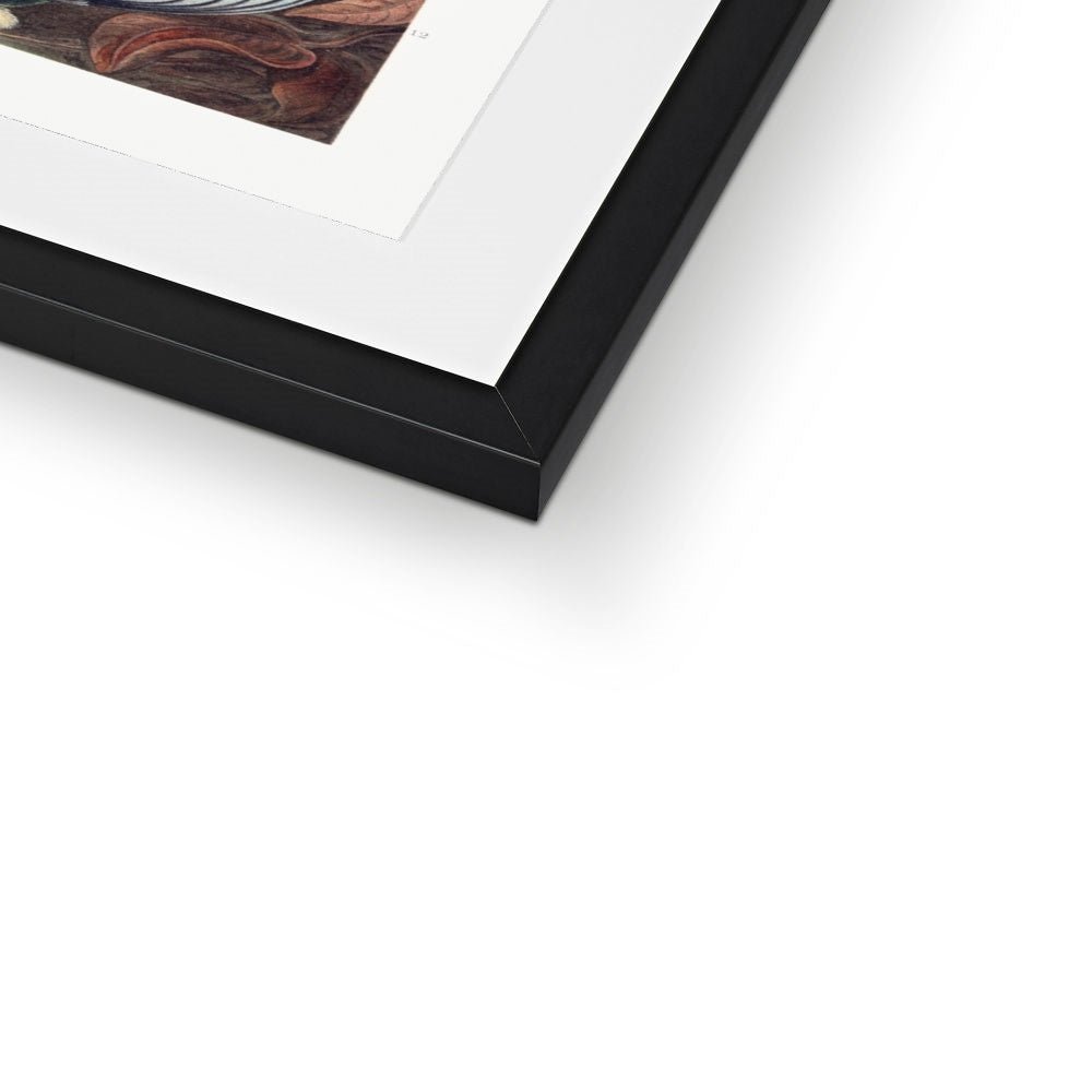 Hummingbirds Framed & Mounted Print - Grace & Ashes