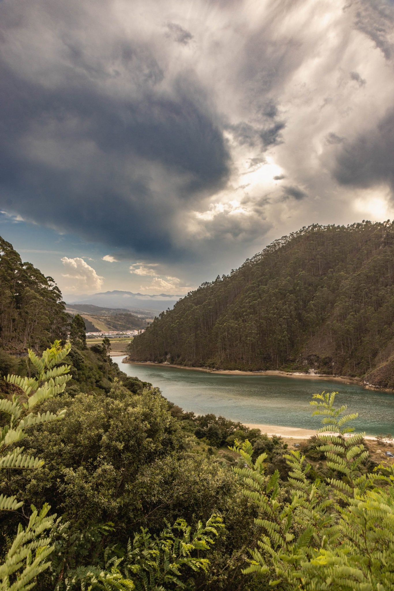 Stefs Essential Lightroom Presets - Grace & Ashes