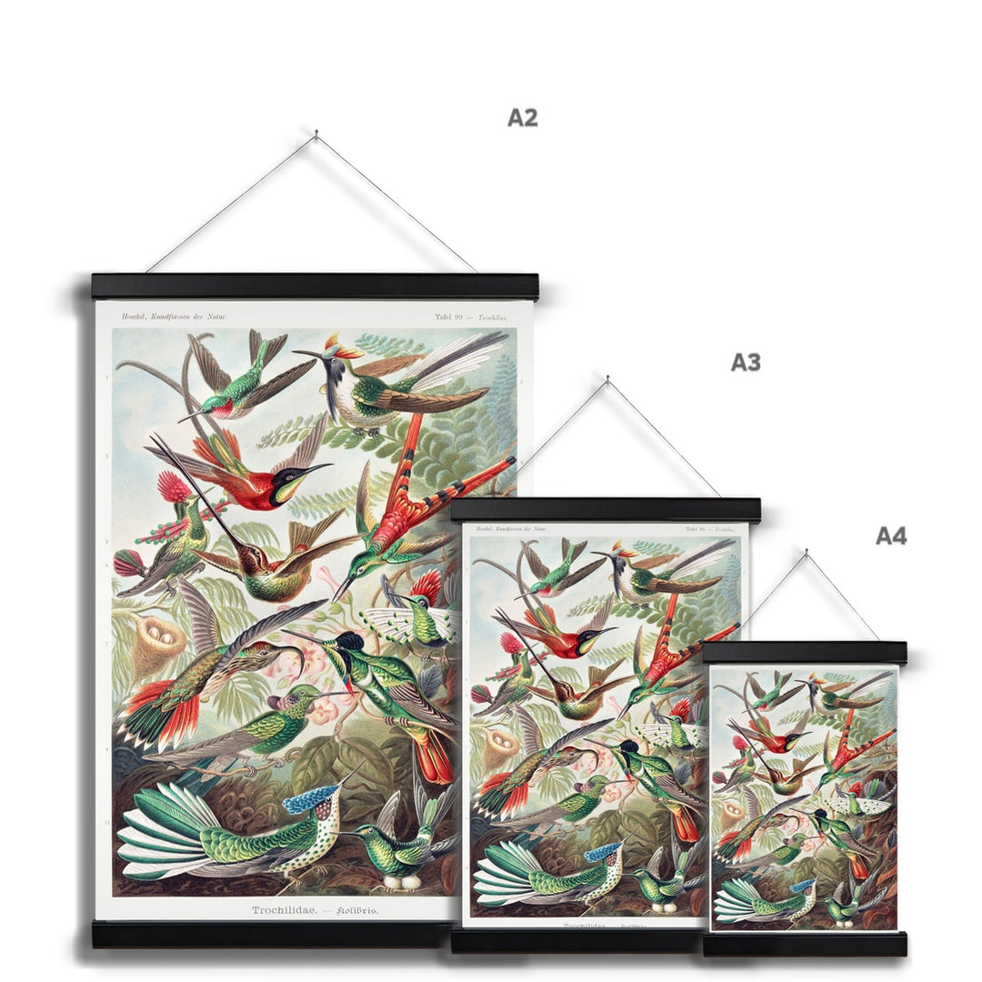 Hummingbirds Fine Art Print with Hanger