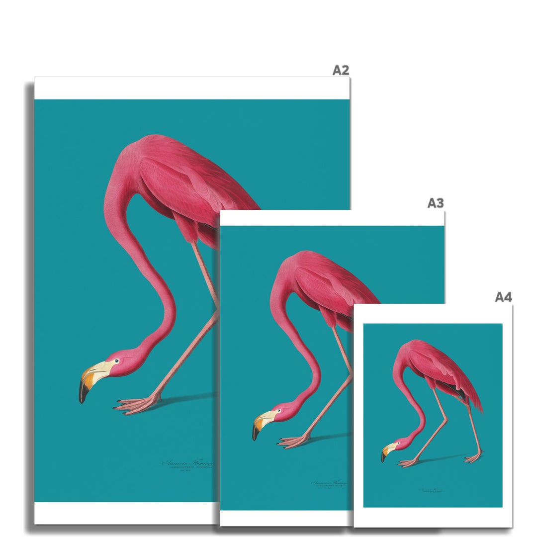 Flamingos are forever Fine Art Print