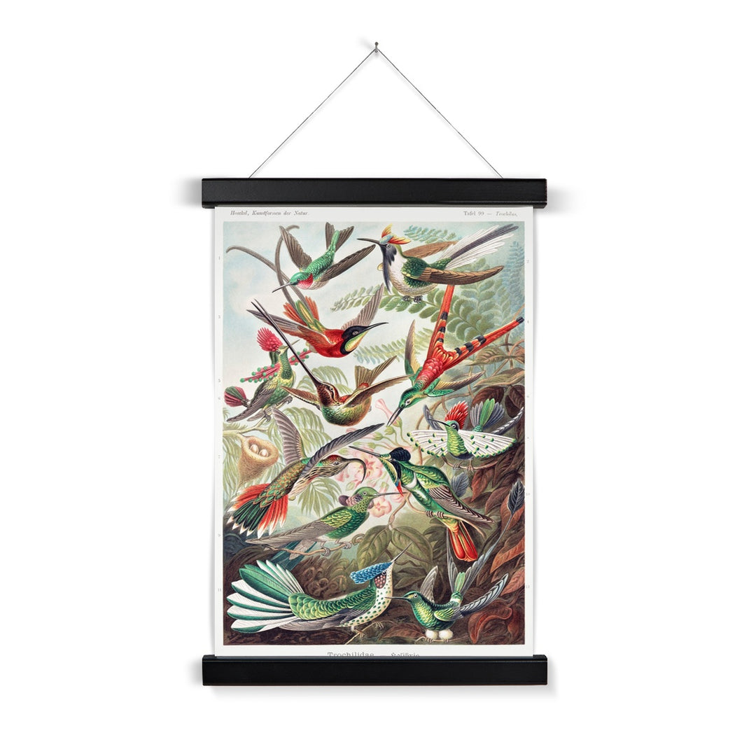 Hummingbirds Fine Art Print with Hanger