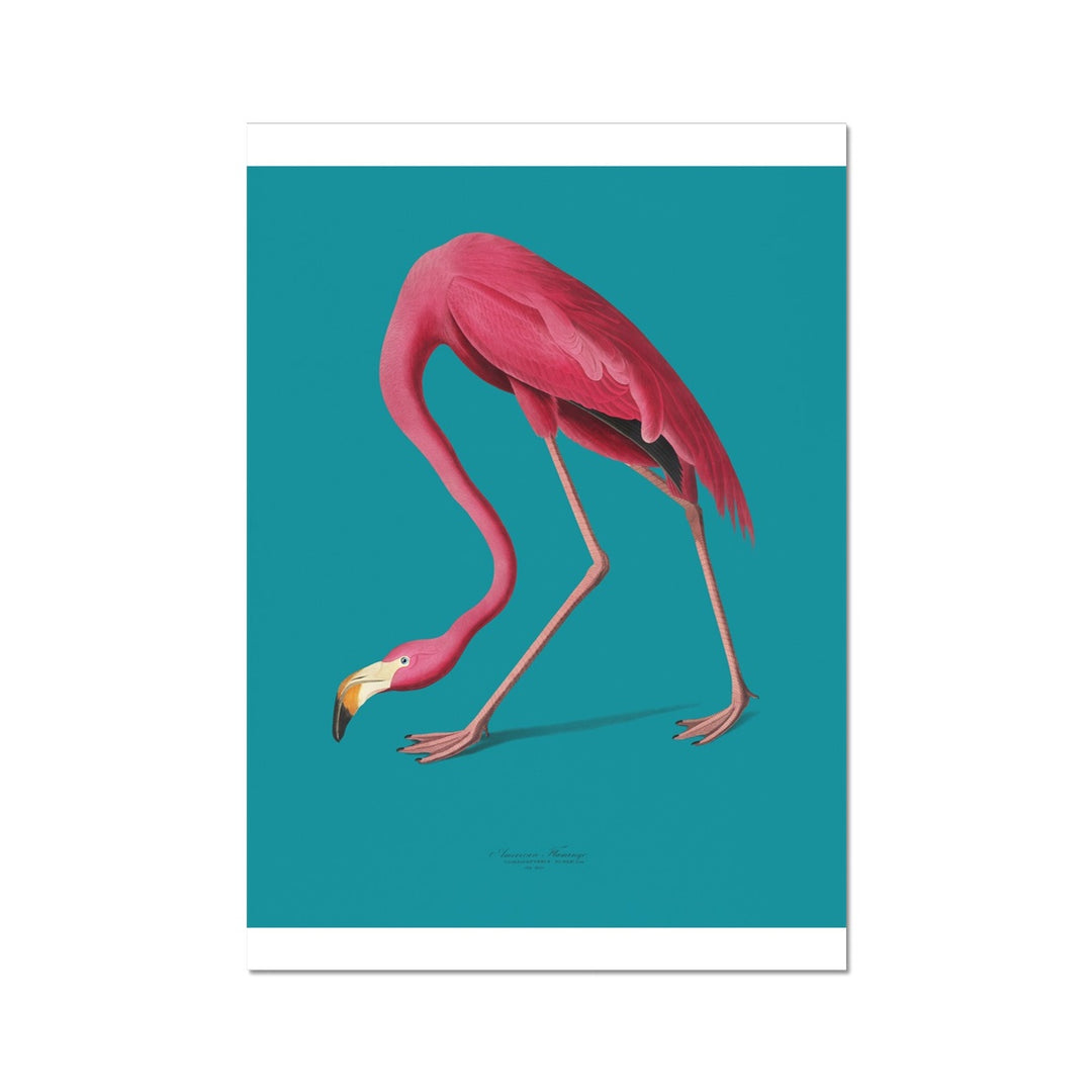 Flamingos are forever Fine Art Print