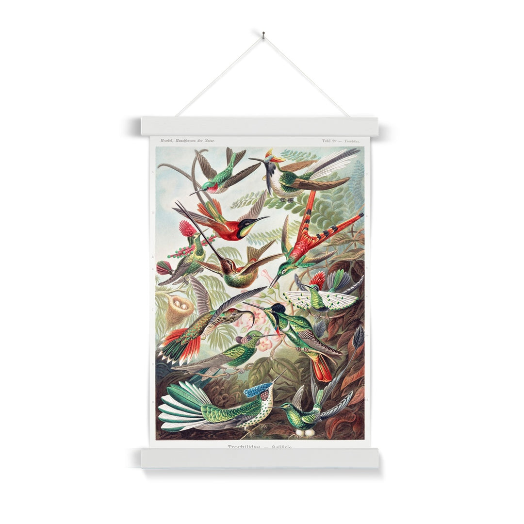 Hummingbirds Fine Art Print with Hanger