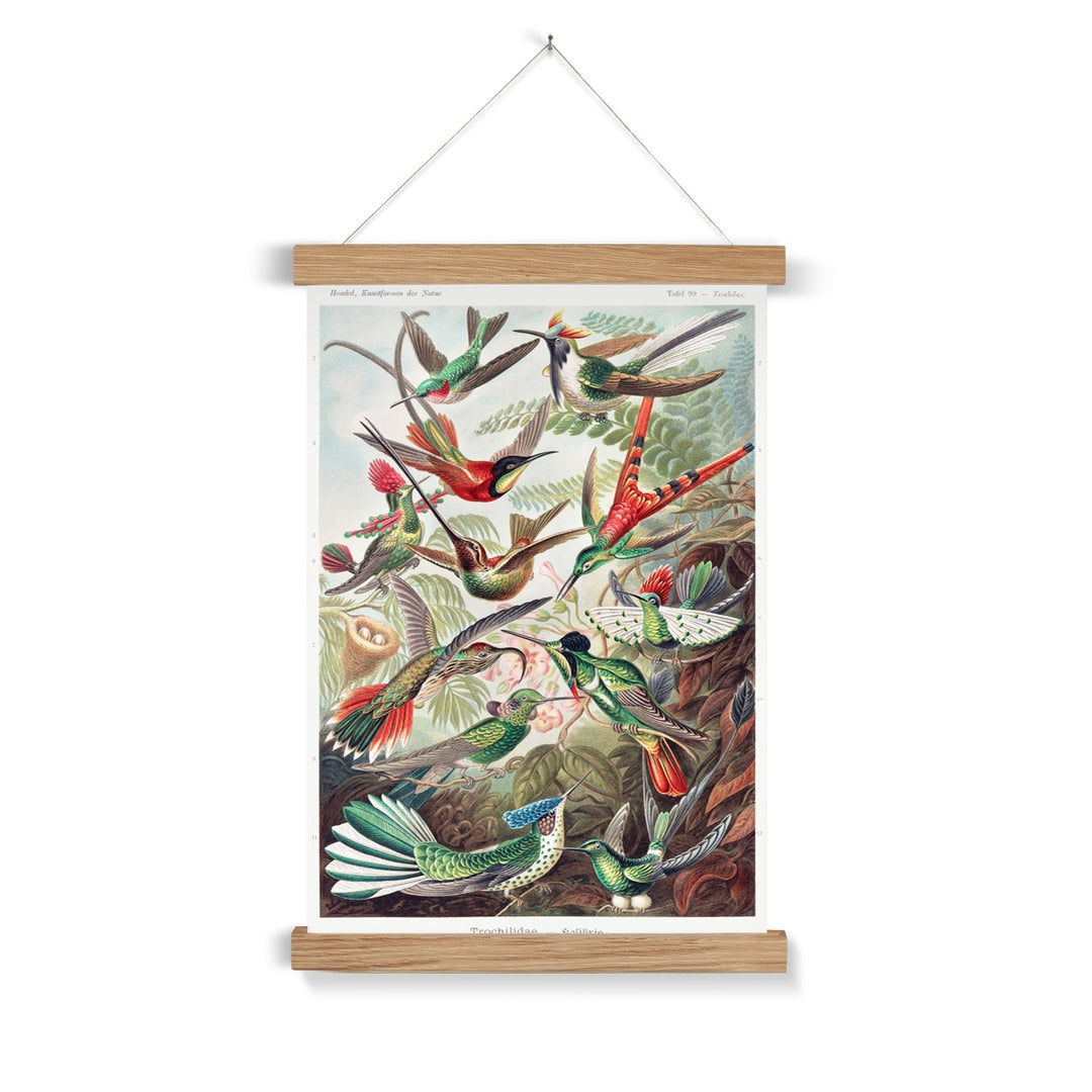 Hummingbirds Fine Art Print with Hanger