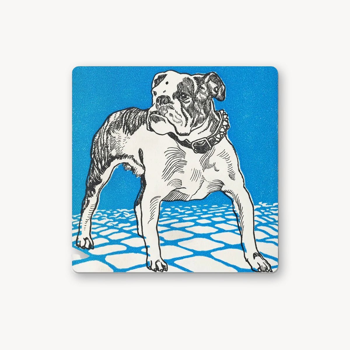 Doggy Coaster - Grace & Ashes