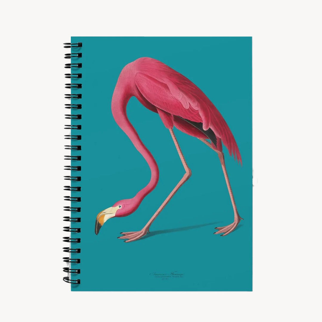 Flamingos Are Forever - Notebook - Grace & Ashes