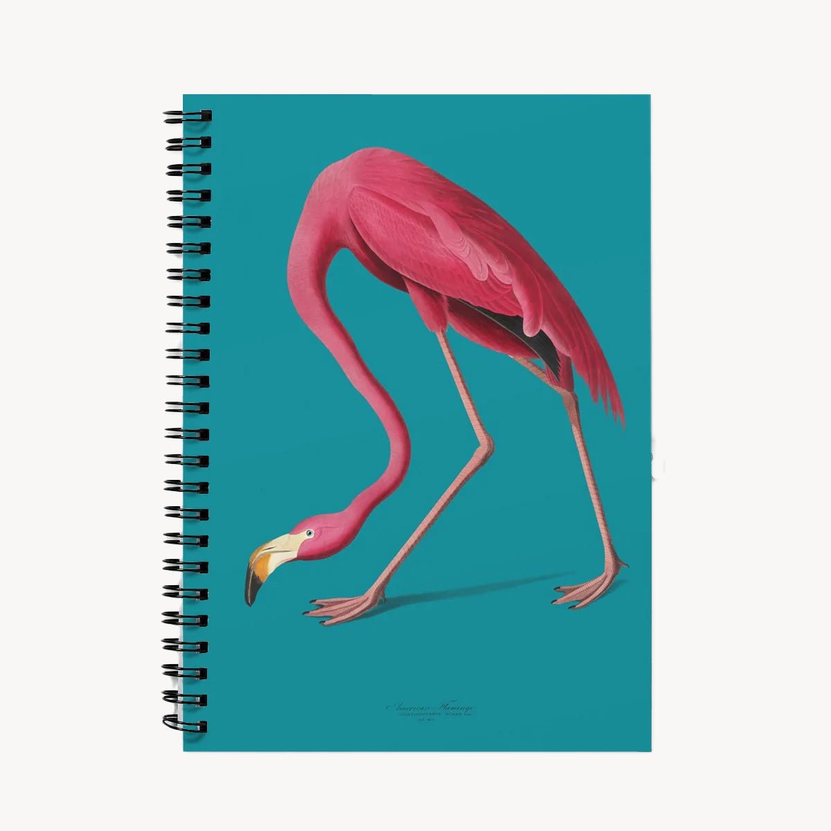 Flamingos Are Forever - Notebook - Grace & Ashes
