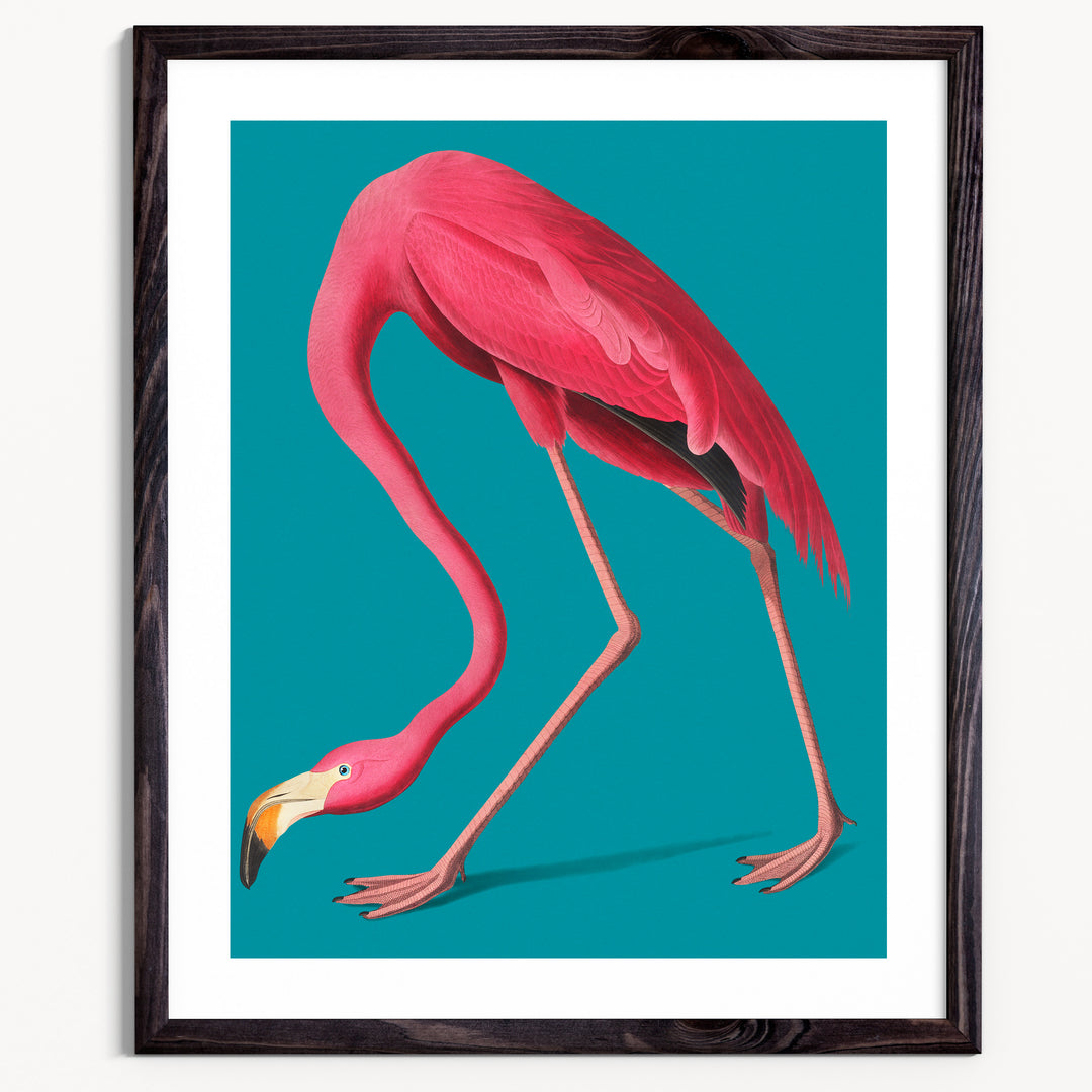 Flamingos are forever Fine Art Print