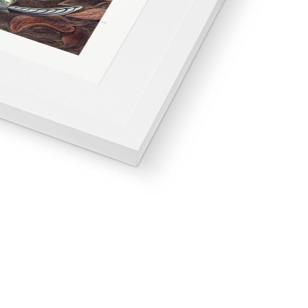 Hummingbirds Framed & Mounted Print - Grace & Ashes