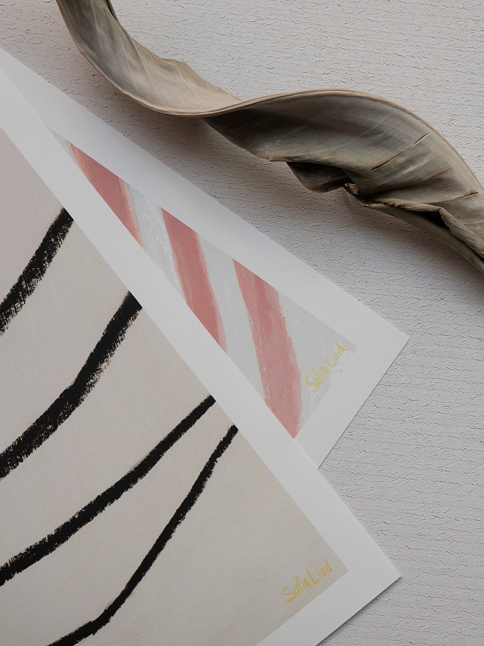 You - HANNA PETERSON - Grace & Ashes